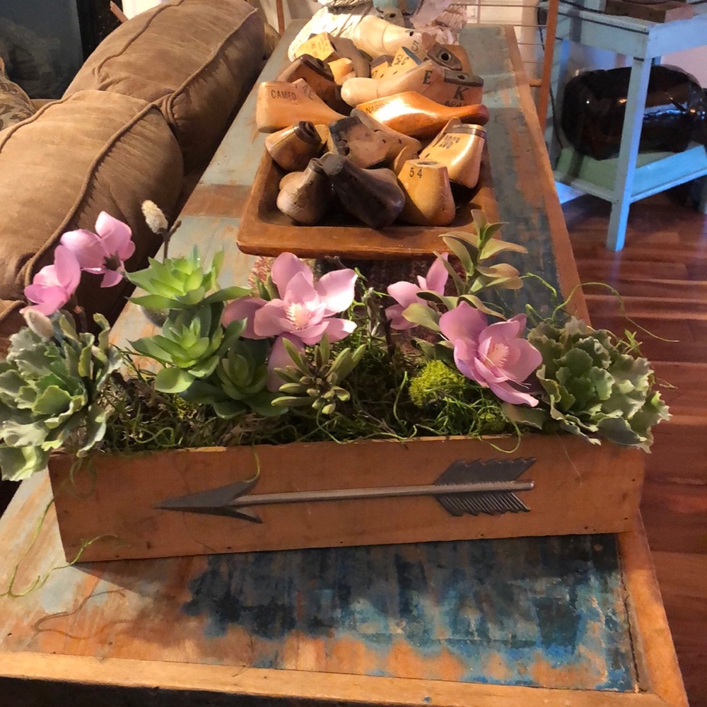 Beautiful succulent arrangement